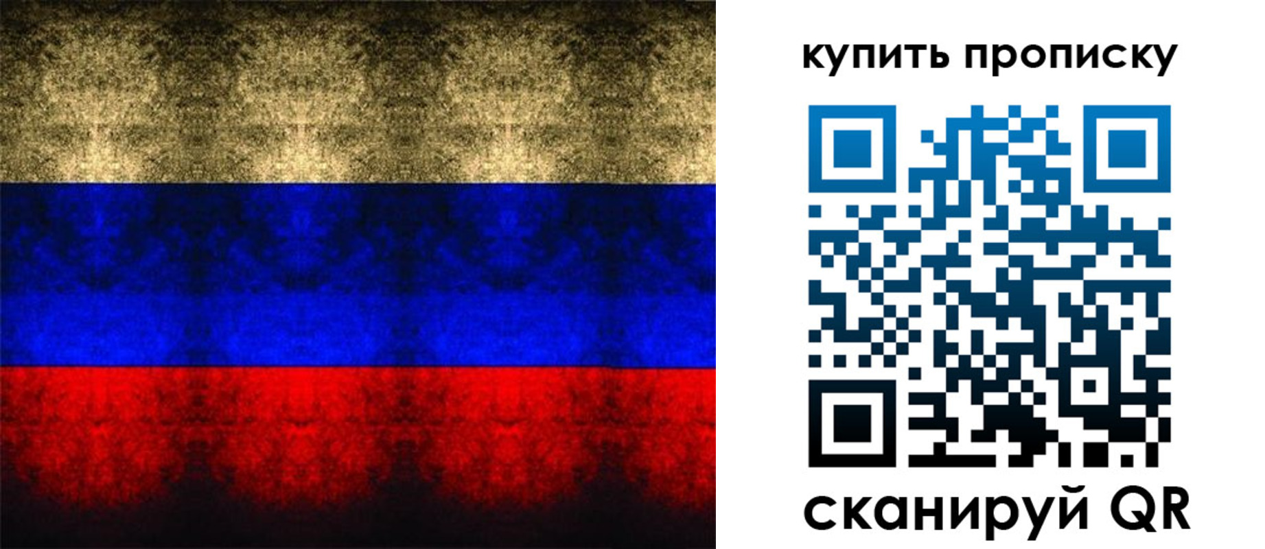 прописка в Чистополье